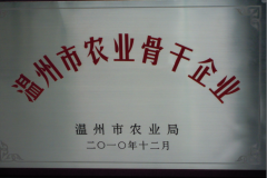 rIǸI